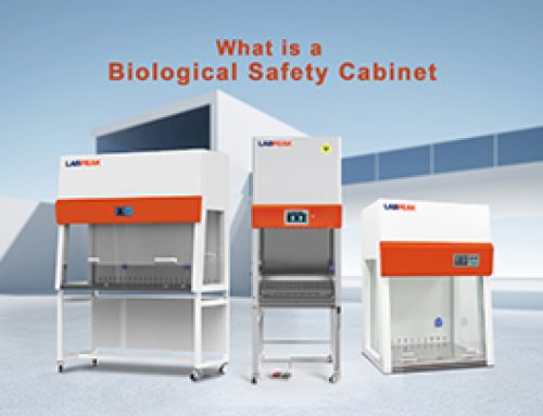 What is a Biological Safety Cabinet