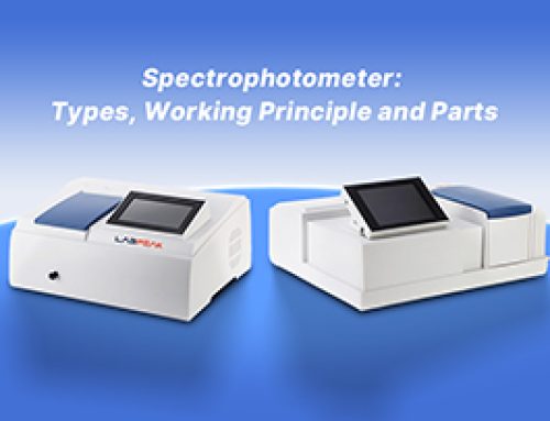 What is a Spectrophotometer? How does it Work?