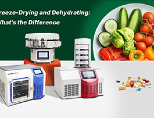 Freeze-Drying vs Dehydrating: What’s the Difference
